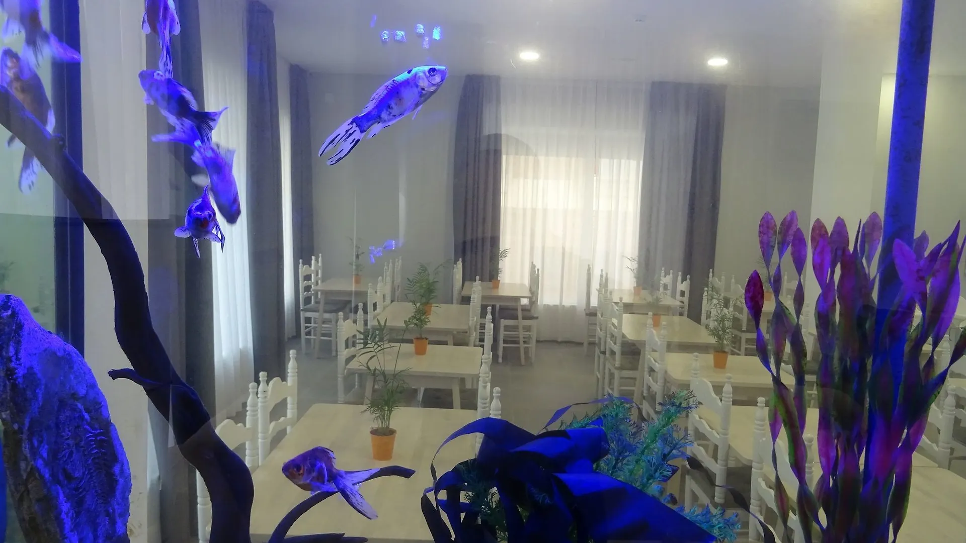 Hotel Victoria - Lloret