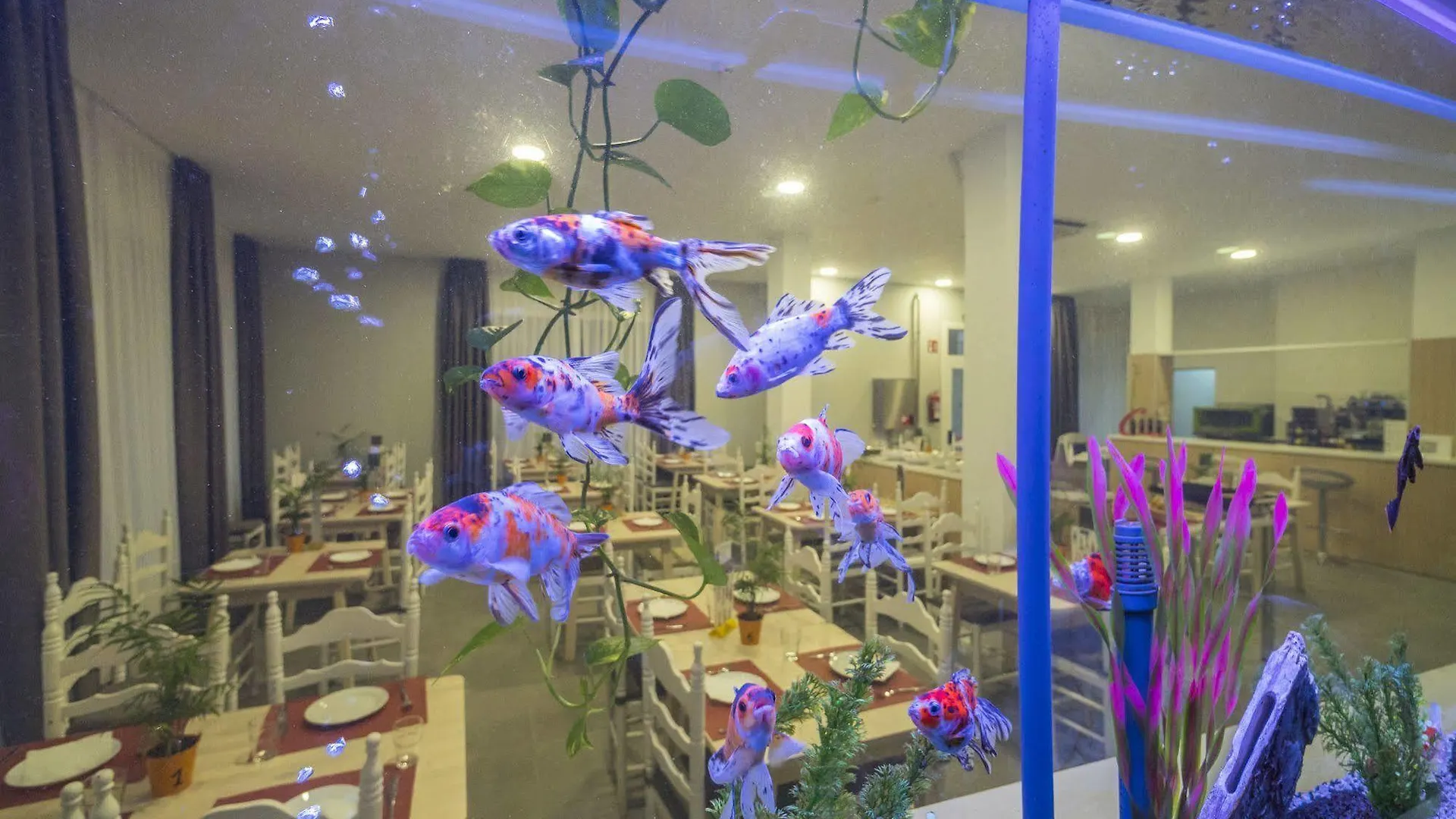 Hotel Victoria - Lloret 3*, Lloret de Mar